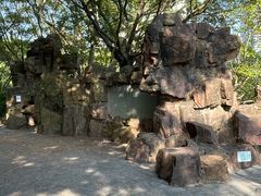 -九龙寨城公园