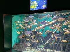 -常州海昌海洋探索馆