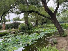 -北陵公园