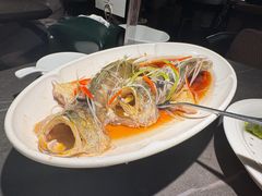 -前海沿·青岛菜(大拇指广场石老人店)