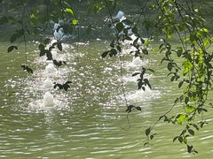 -绮园景区