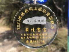 -梧桐山风景名胜区