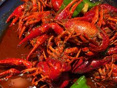 -红盔甲·小龙虾(天钥桥店)