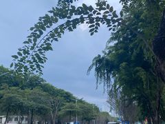 -百威年二手车市场(龙井路店)