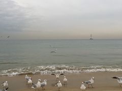 -海云台海滩