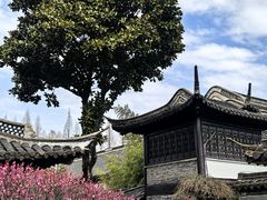 -梅园