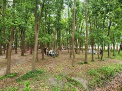 -广富林郊野公园