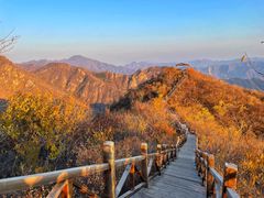 -大岭沟猕猴桃谷风景区