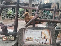-长鹿旅游休博园