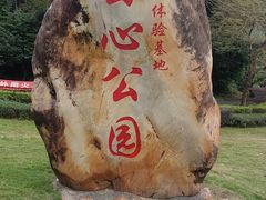 -田心森林公园