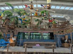 -南宫五洲植物乐园