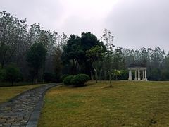 滨湖湿地公园-合肥滨湖国家森林公园