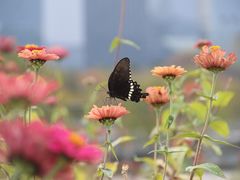 -白塘生态植物园