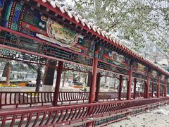 -中国人民解放军总医院