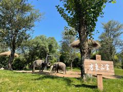 -北京野生动物园