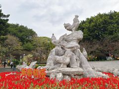 -金鸡山公园