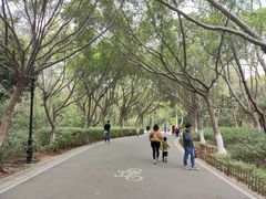 -八仙山公园