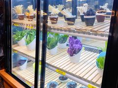 -圣罗巴海鲜自助(黑金店)