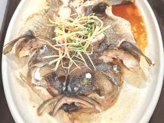 -百年银屏蚝烙·潮汕菜·非遗(乐山店)