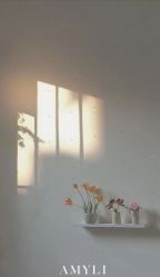 -艾米丽婚纱礼服