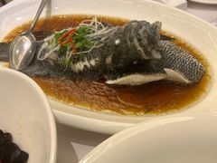 -骏莱海鲜鱼港(五角场店)