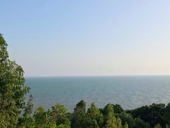 -广东惠东海龟国家级自然保护区