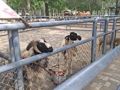 -长白岛森林公园