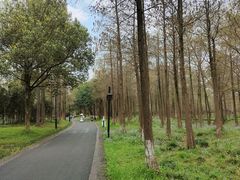 -中国湿地博物馆
