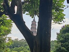 -顺峰山公园
