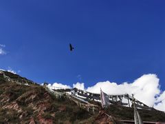 -比如骷髅墙景区