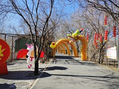 -北京鹿世界主题园