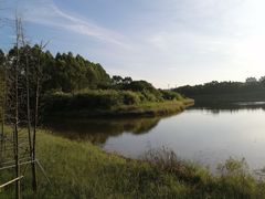 -美的鹭湖森林度假区