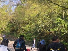 -紫金山山顶公园