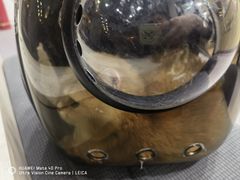 -瑞派宠物医院·犬猫全科·猫友好(宾水西道店)