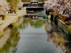 -海棠花溪(元大都城垣遗址公园)