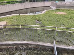 -太原动物园