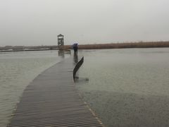 -盐城丹顶鹤湿地生态旅游区