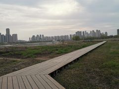 -汉江湾体育公园