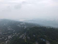 -大金鹰园
