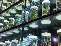 -广东中医药博物馆