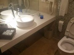 -国家会议中心大酒店