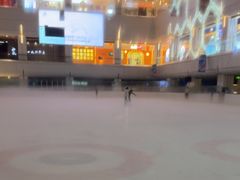 -炫采冰场(红博中央公园商场店)