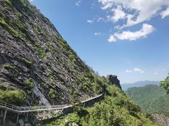 -朱雀国家森林公园