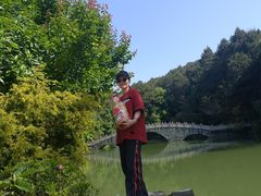 -铁山坪森林公园