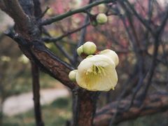 -山东大学(趵突泉校区)