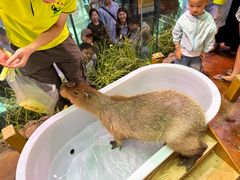 -正佳雨林生态植物园