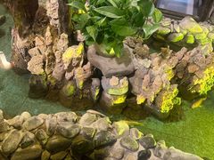 -庭院小酌(瑞莲街店)