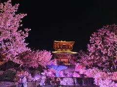 -茅山东方盐湖城景区