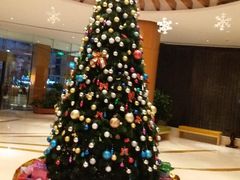 -天津水游城丽筠酒店