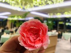 -JPG canteen(广州东山口店)